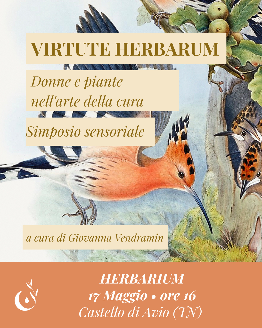 Virtute Herbarum — Donne e piante nell'arte della cura. Al Castello di Avio