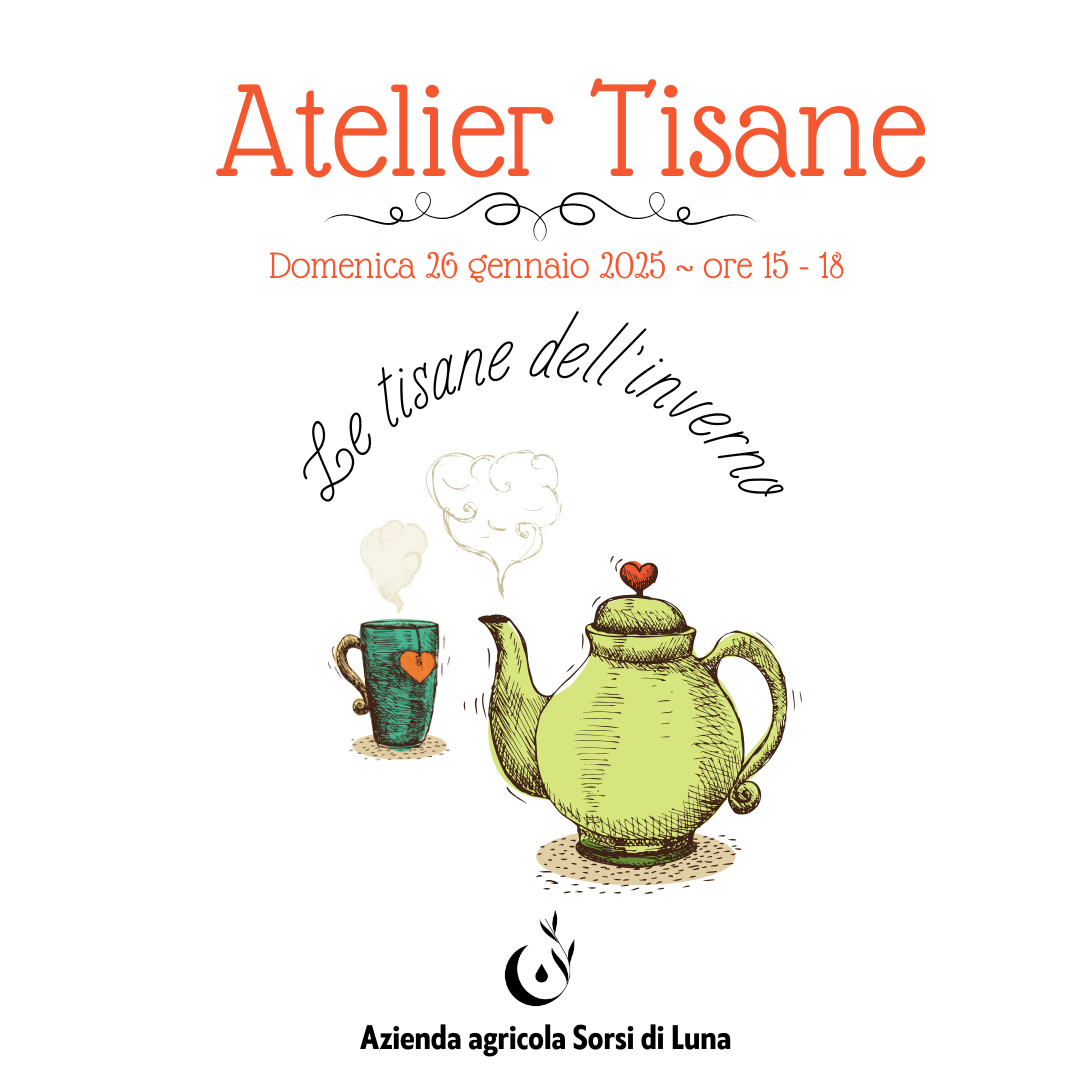 ATELIER TISANE