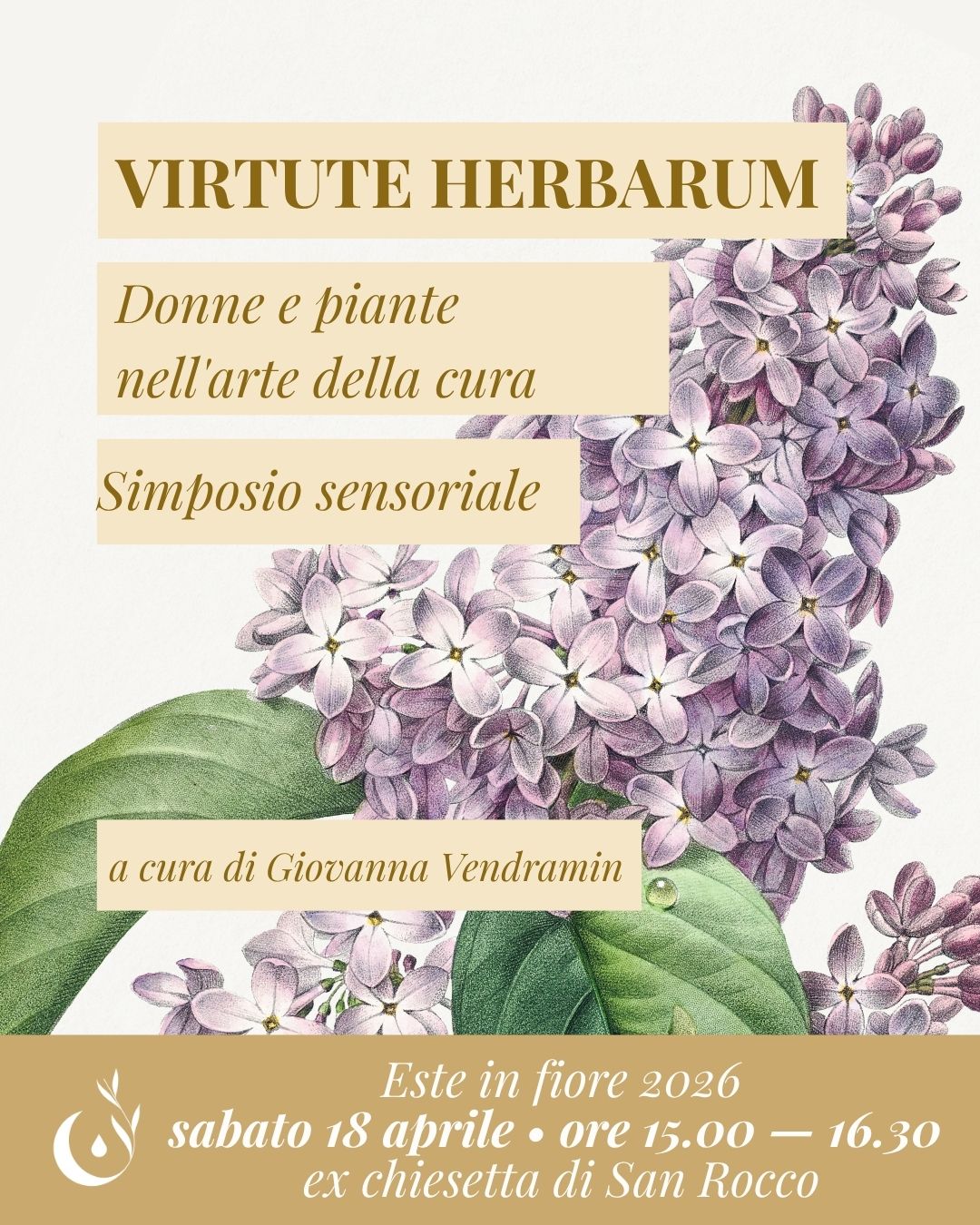 Virtute Herbarum. Donne e Piante nell'arte della cura